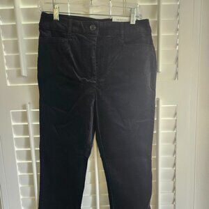 Loft velvet pants